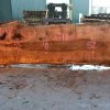 Goby Walnut Oregon Redwood Slab 111816-13 Green Slabs