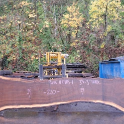 Goby Walnut Products 112918-01 Oregon Black Walnut Slab