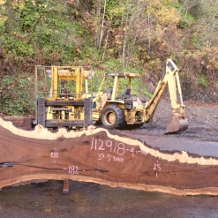 Goby Walnut Products 112918-04 Oregon Black Walnut Slab