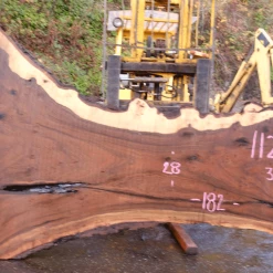 Goby Walnut Products 112918-04 Oregon Black Walnut Slab