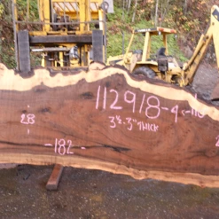 Goby Walnut Products 112918-04 Oregon Black Walnut Slab