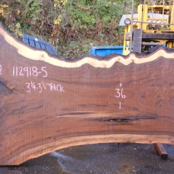 Goby Walnut Products 112918-05 Oregon Black Walnut Slab Green Slabs