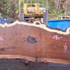 Goby Walnut Products 112918-05 Oregon Black Walnut Slab Green Slabs