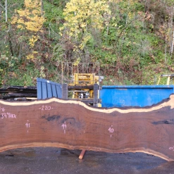 Goby Walnut Products Green Slabs 112918-06 Oregon Black Walnut Slab