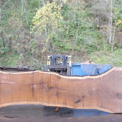 Goby Walnut Products Green Slabs 112918-07 Oregon Black Walnut Slab