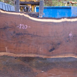 Goby Walnut Products Green Slabs 112918-07 Oregon Black Walnut Slab