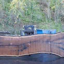 Goby Walnut Products 112918-11 Oregon Black Walnut Slab Green Slabs