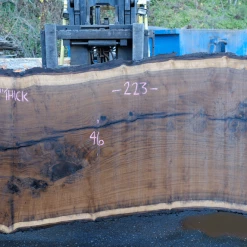 Goby Walnut Products 112918-11 Oregon Black Walnut Slab Green Slabs