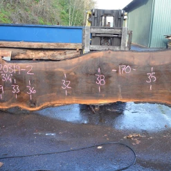 Goby Walnut Products Green Slabs Oregon Black Walnut Slab 120319-01
