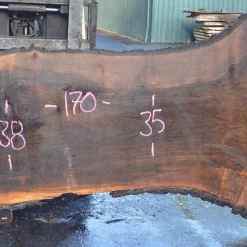 Goby Walnut Products Oregon Black Walnut Slab 120319-02