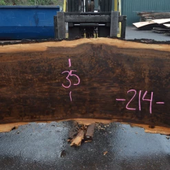 Goby Walnut Products Green Slabs Oregon Black Walnut Slab 120319-07