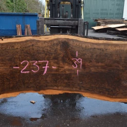 Goby Walnut Products Green Slabs Oregon Black Walnut Slab 120319-08