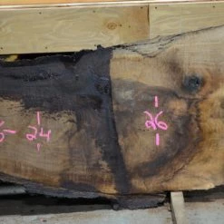 Goby Walnut Oregon Black Walnut Slab 121013-01