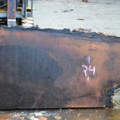 Goby Walnut Oregon Black Walnut Slab 122014-15