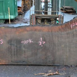 Goby Walnut Oregon Black Walnut Slab 122014-03 Green Slabs