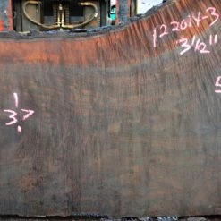 Goby Walnut Oregon Black Walnut Slab 122014-03 Green Slabs