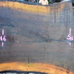 Goby Walnut Oregon Black Walnut Slab 122114-10