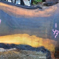 Goby Walnut Oregon Black Walnut Slab 122114-01 Green Slabs