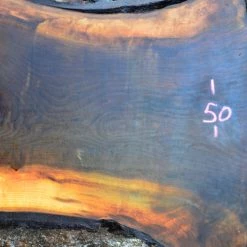 Goby Walnut Oregon Black Walnut Slab 122114-02