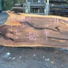 Goby Walnut 122118-01 Elm Slab