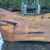 Goby Walnut 122118-02 Elm Slab Green Slabs