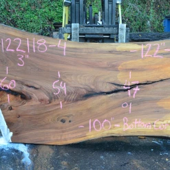 Goby Walnut 122118-04 Elm Slab