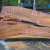 Goby Walnut 122118-07 Elm Slab Green Slabs