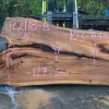 Goby Walnut 122118-08 Elm Slab Green Slabs