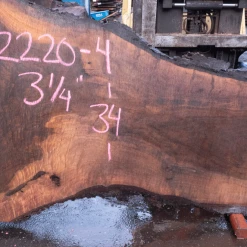 Goby Walnut Products Oregon Black Walnut Slab 122220-04 Green Slabs