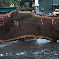 Goby Walnut Products Oregon Black Walnut Slab 122220-09 Green Slabs