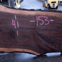 Goby Walnut Products Oregon Black Walnut Slab 122220-09 Green Slabs