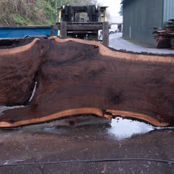 Goby Walnut Products Green Slabs Oregon Black Walnut Slab 122220-10