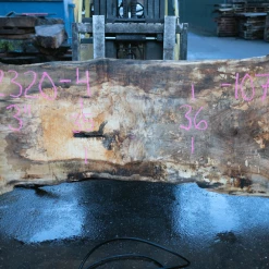 Goby Walnut Products Big Leaf Maple Slab 122320-04 Green Slabs