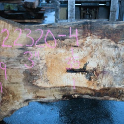 Goby Walnut Products Big Leaf Maple Slab 122320-04 Green Slabs