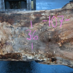 Goby Walnut Products Big Leaf Maple Slab 122320-04 Green Slabs