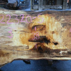 Goby Walnut Products Green Slabs Big Leaf Maple Slab 122320-05