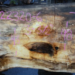 Goby Walnut Products Big Leaf Maple Slab 122320-06