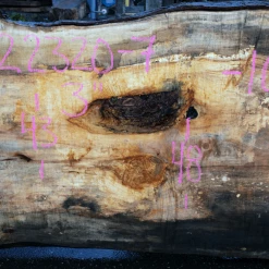 Goby Walnut Products Big Leaf Maple Slab 122320-07 Green Slabs