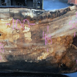 Goby Walnut Products Big Leaf Maple Slab 122320-07 Green Slabs