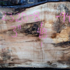 Goby Walnut Products Big Leaf Maple Slab 122320-08 Green Slabs