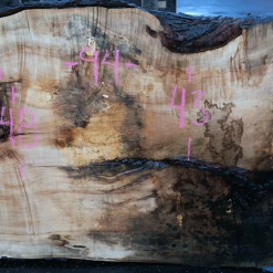 Goby Walnut Products Big Leaf Maple Slab 122320-08 Green Slabs