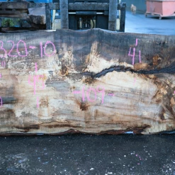 Goby Walnut Products Big Leaf Maple Slab 122320-10 Green Slabs