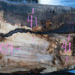 Goby Walnut Products Big Leaf Maple Slab 122320-10 Green Slabs