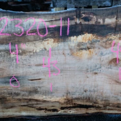 Goby Walnut Products Big Leaf Maple Slab 122320-11 Green Slabs