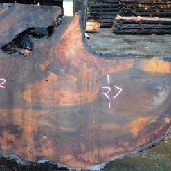 Goby Walnut Oregon Black Walnut Slab 122414-06