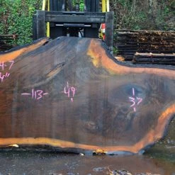 Goby Walnut Oregon Black Walnut Slab 122414-07 Green Slabs