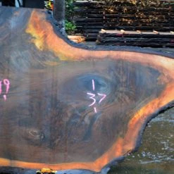 Goby Walnut Oregon Black Walnut Slab 122414-07 Green Slabs