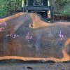 Goby Walnut Oregon Black Walnut Slab 122414-08