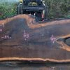 Goby Walnut Oregon Black Walnut Slab 122414-09