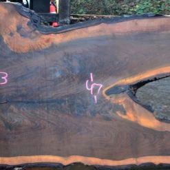 Goby Walnut Oregon Black Walnut Slab 122414-09